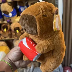 Capibara con ropa #2