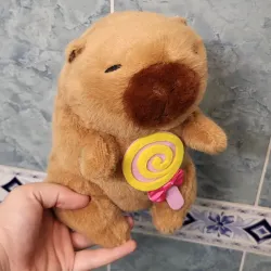 Capibara con ropa #3