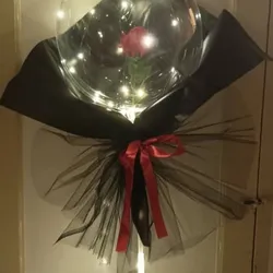 Globo aerostático lumínico