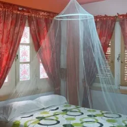 Mosquitero ajustable a todas las camas #1