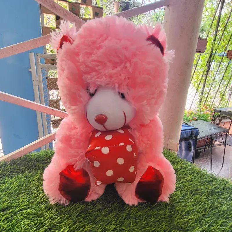 Osos de peluches 30cm