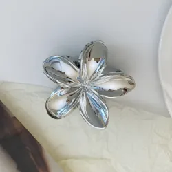 Pellizco pequeño (metálico) 2