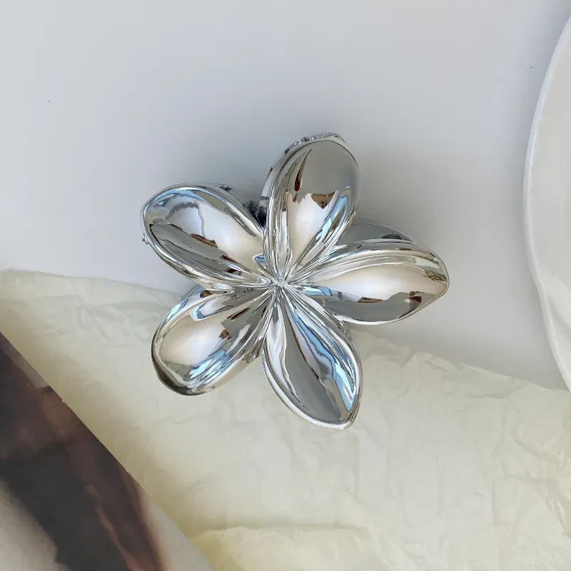 Pellizco pequeño (metálico) 2