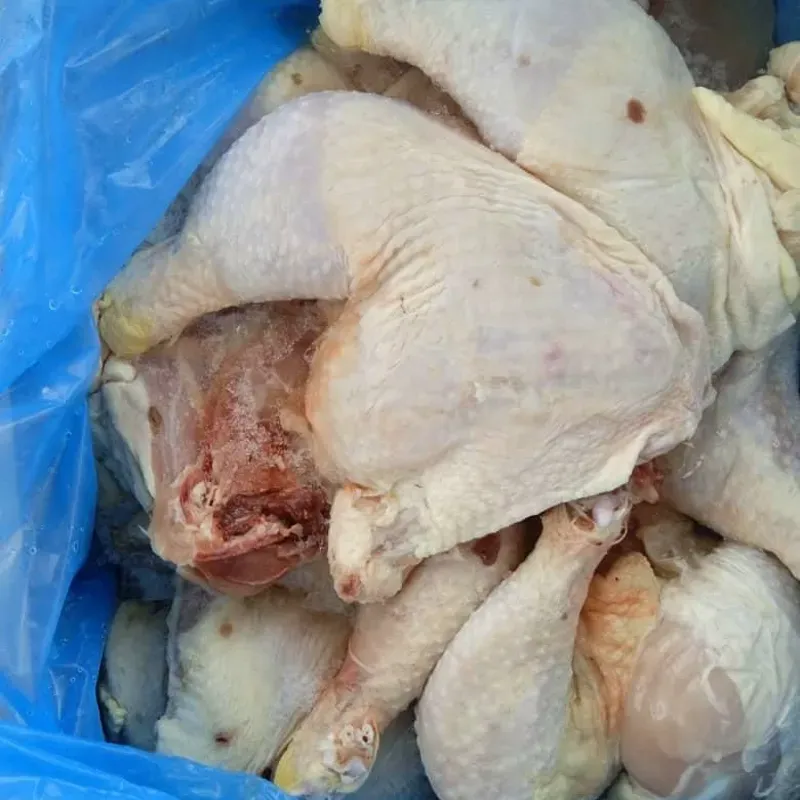 Cajas de pollo de postas a granel de 10 kg (22lb)