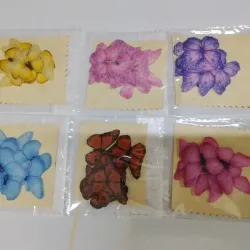 Mariposas Comestibles 10u