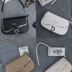 Cartera Dior