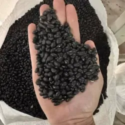 Frijoles Negros (5 Lb)