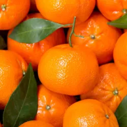Mandarina (5 Lb)