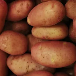 Papas (5 Lb)