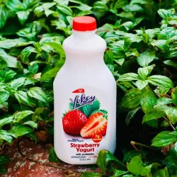 Yogurt Strawberry (1.5 Lb)