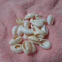 Caracoles naturales