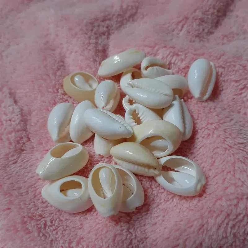 Caracoles naturales