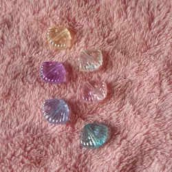 Conchas tornasol en colores transparentes