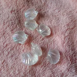 Conchas tornasol transparentes