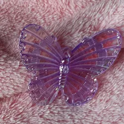 Mariposa grande morada