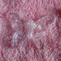 Mariposa grande transparente