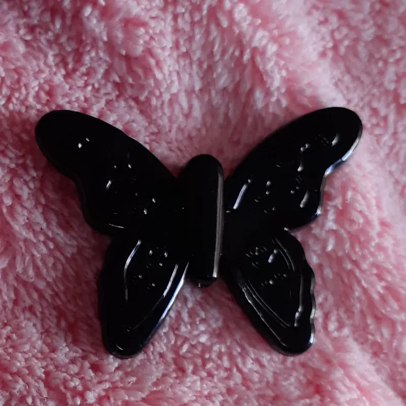 Mariposa grande negra