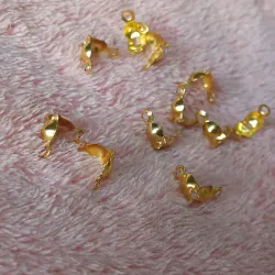 Tapanudos dorados
