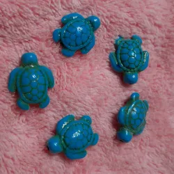 Tortuga turquesa azul