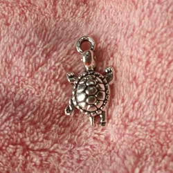 Tortuga