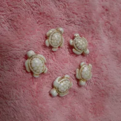 Tortugas turquesa blancas