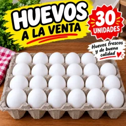 Carton de huevos(30u)