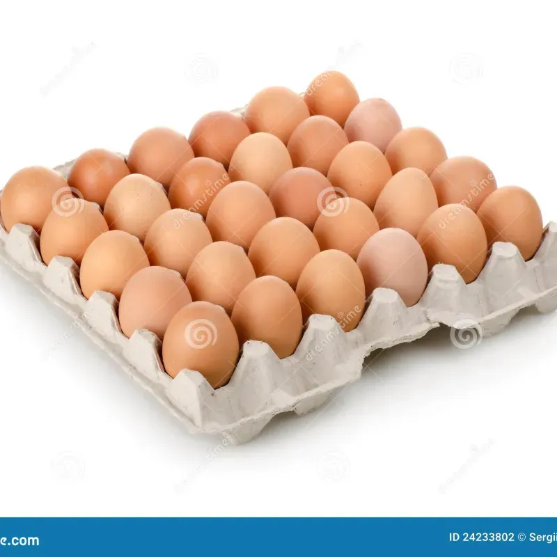 Carton de huevos(30u)