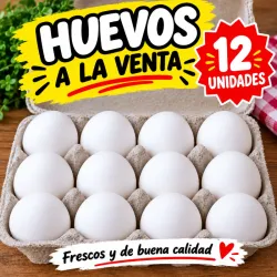 Docena de huevos 
