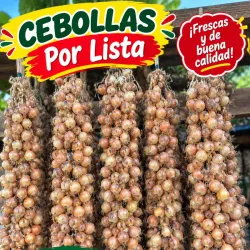 Pata cebolla 