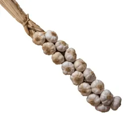 Pata de ajo