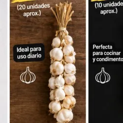 Pata de ajo