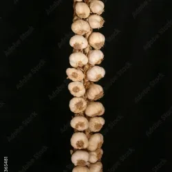 Pata de ajo