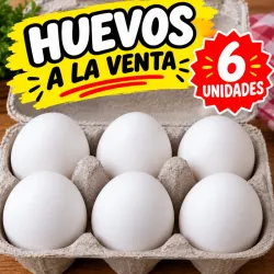 Seis huevos 