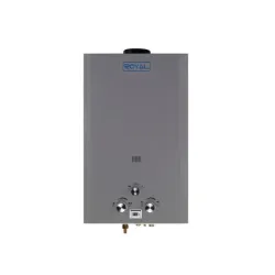Calentador de agua de GAS 10L Royal