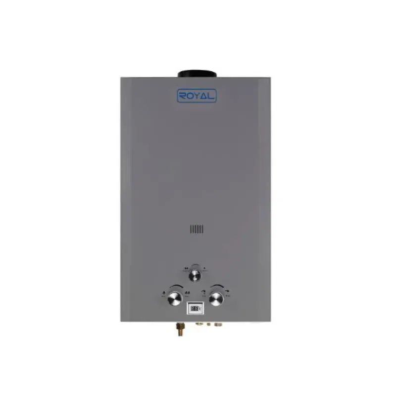 Calentador de agua de GAS 10L Royal