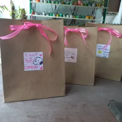 Bolsas de papel kraft decoradas