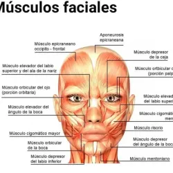 Curso Tóxina Botulínica