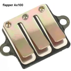 Flapper ax100