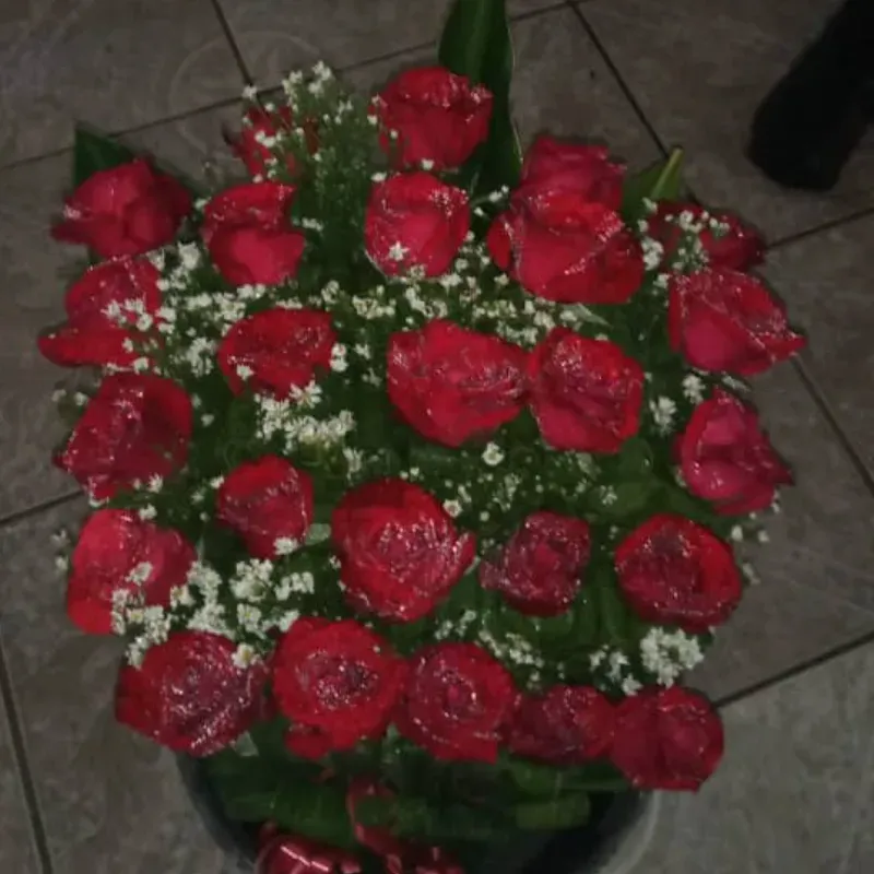 Ramo de 25 rosas