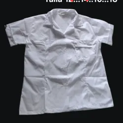 Camisas Secundaria y Pre