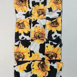 Zapatera