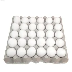 Cartones de huevos 