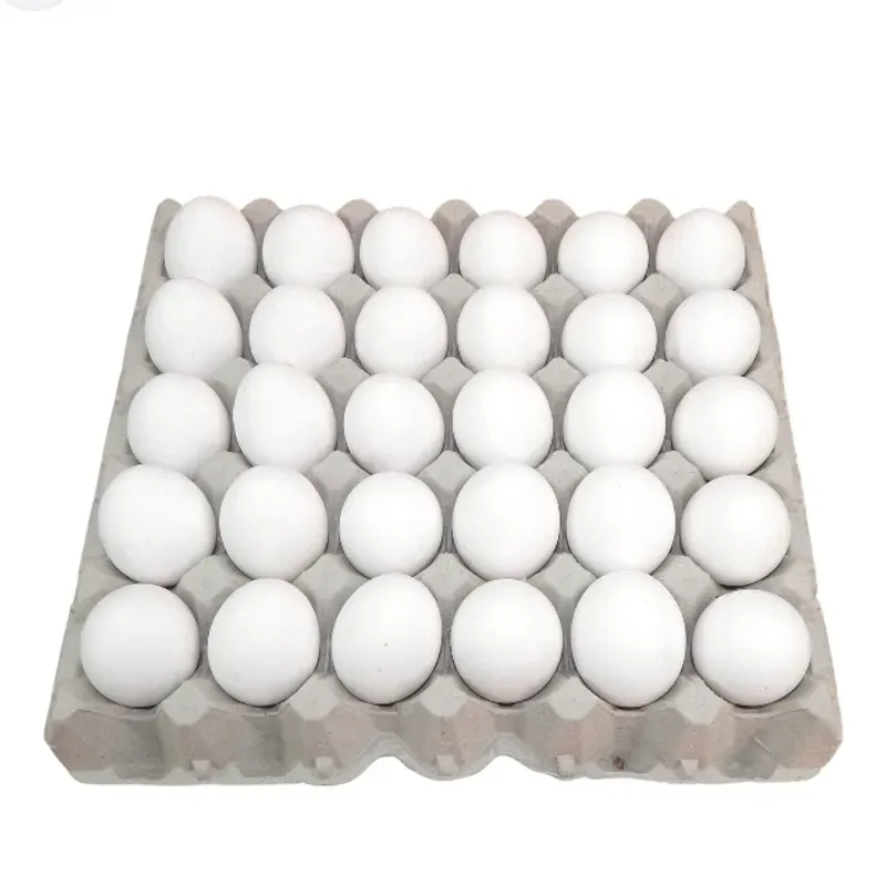 Cartones de huevos 