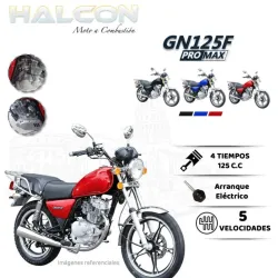Motor 125 cc halcon