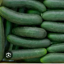 Pepinos