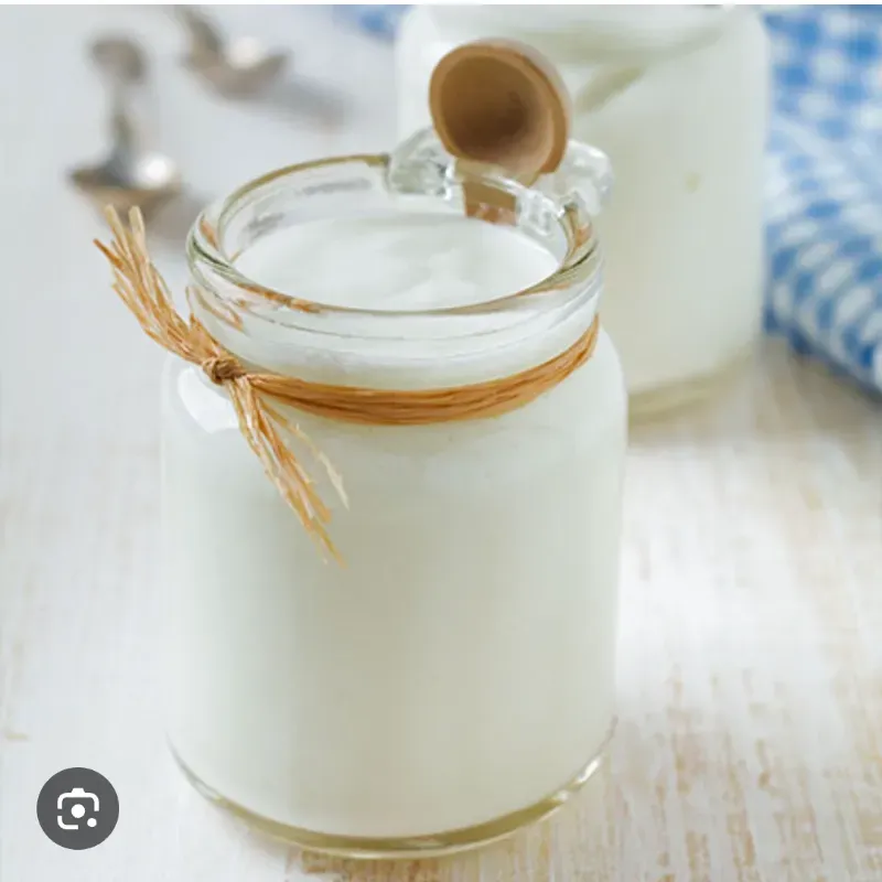 Yogurt natural criollo