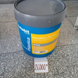 Pintura para Paredes y Techos (Bazar Mayamba)