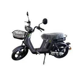 Bicimoto Torvan Tormax Púrpura/Tornasol