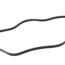 Correa Chevry Equinox 5pk1755