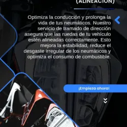 Tramado de dirección (Alineación)